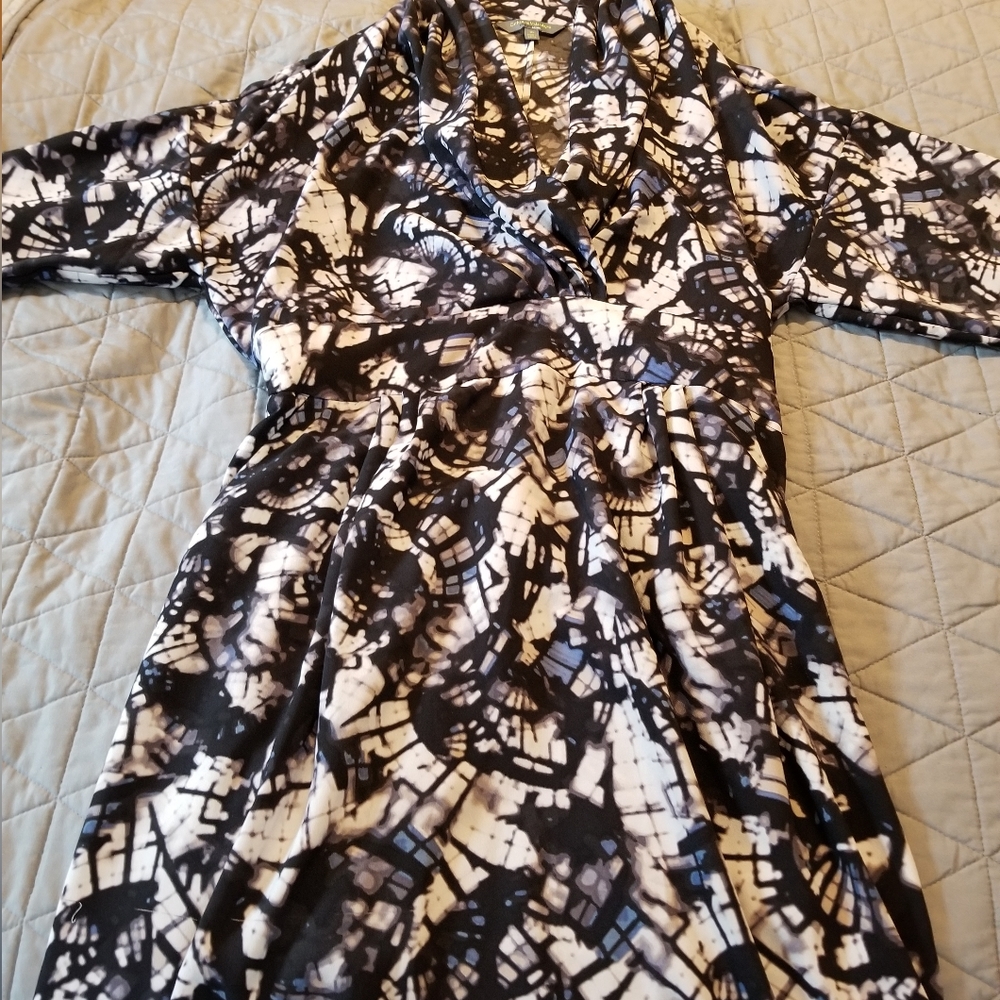 Waterglass Dress EUC